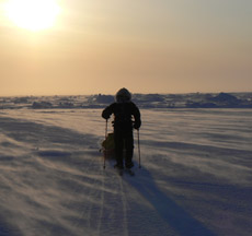 North Pole